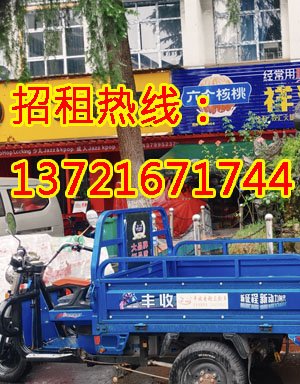 望春路1